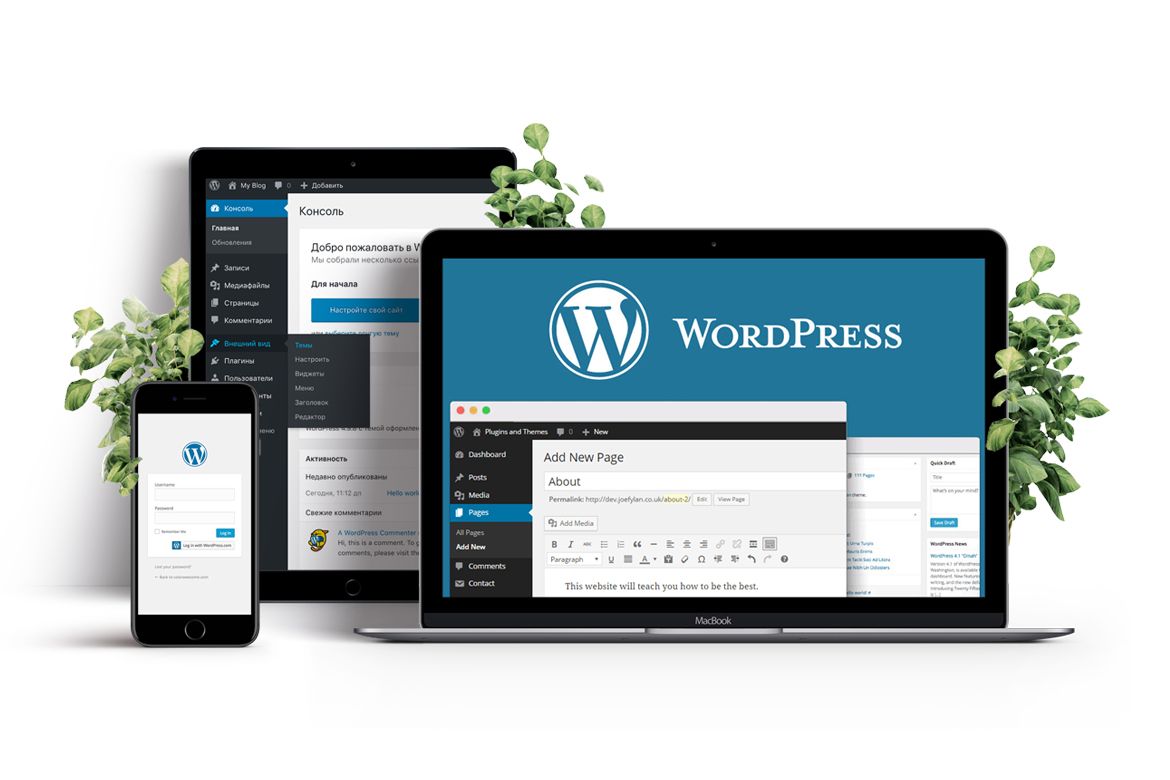 Wordpress development